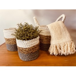 Juego de cestas de algas...