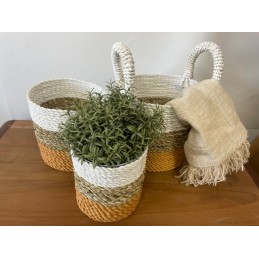 Juego de cestas de algas...