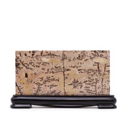 Piedras con imagenes de...