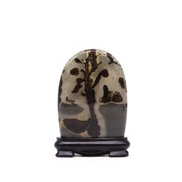 Piedras con imagenes de...