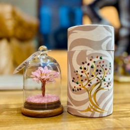 Jardín Dome de Gemas -...