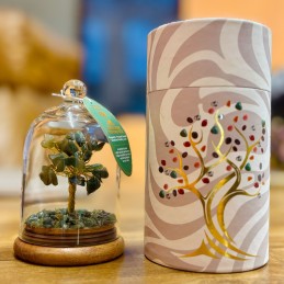 Jardín Dome de Gemas -...