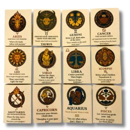 Cuadernos Mediano Estilo...